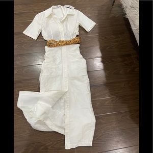 Zara limited edition blogger dress